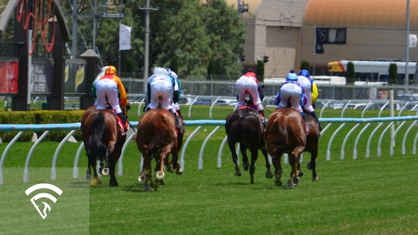 Backside view of horses and jockeys racing representing a quarter-mile race