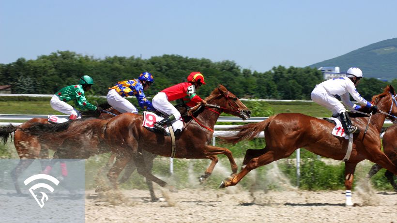 Profile shot of horses racing on a track