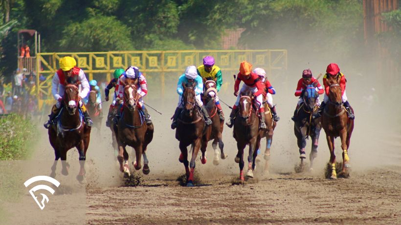 Direct view of several horses and jockeys representing a straight track in horse racing