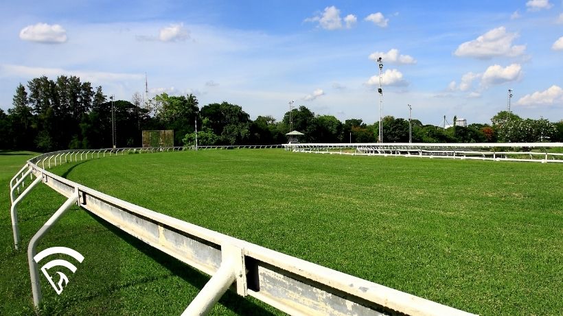 Close-up of a turf track turn representing the topic of a one-turn race in horse racing