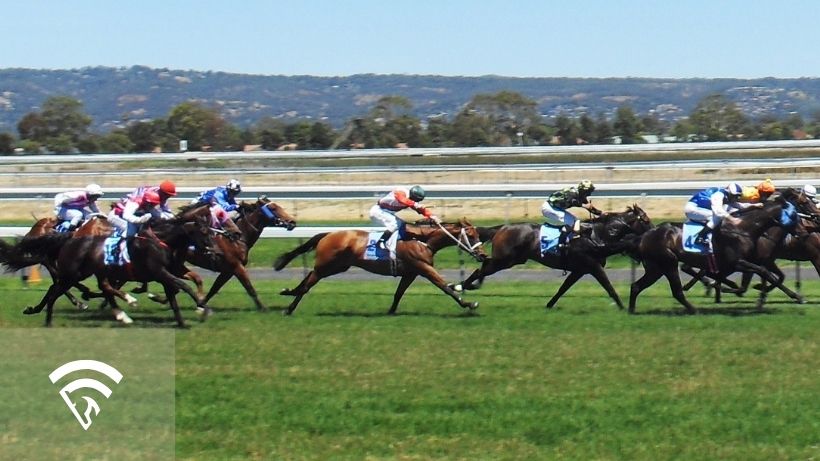 Horses racing on a track representing the topic of a two-turn race in horse racing