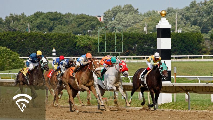 Horses racing on a track