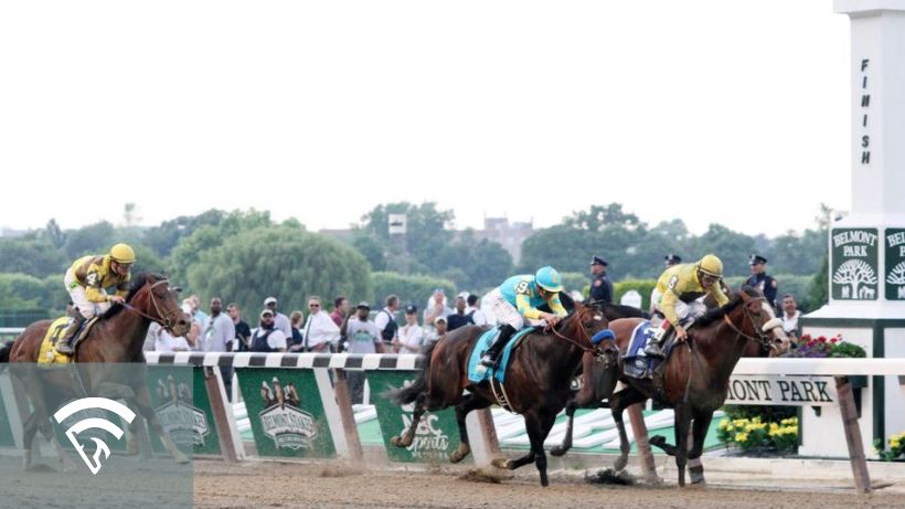 Horses racing at the Belmont Stakes