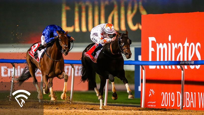 Horses racing at the Dubai World Cup