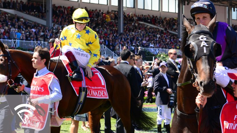 Racers and trainers near horses at the Melbourne Cup