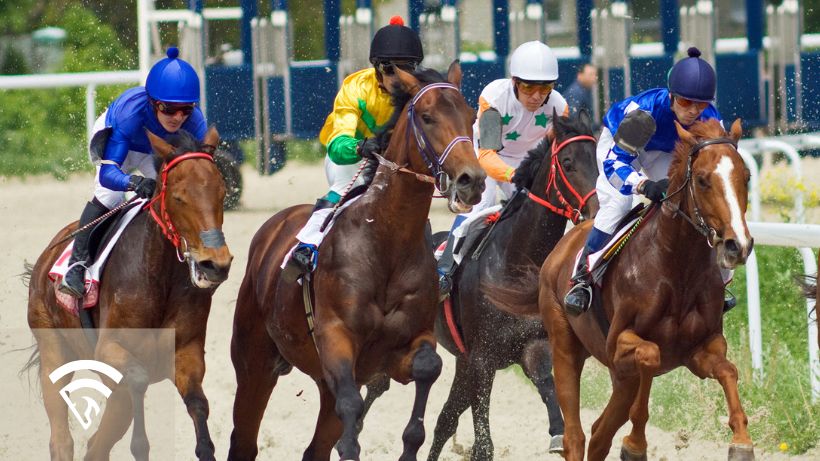 Horses racing representing an invitational race