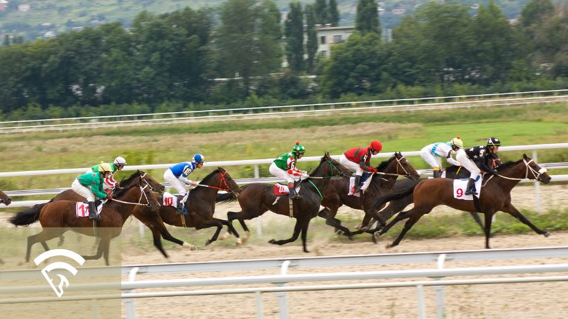 Profile view of several horses with jockeys racing presenting a series race or points-based race