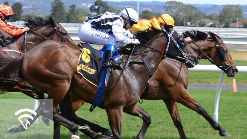 Close up of horses racing representing starter allowance races