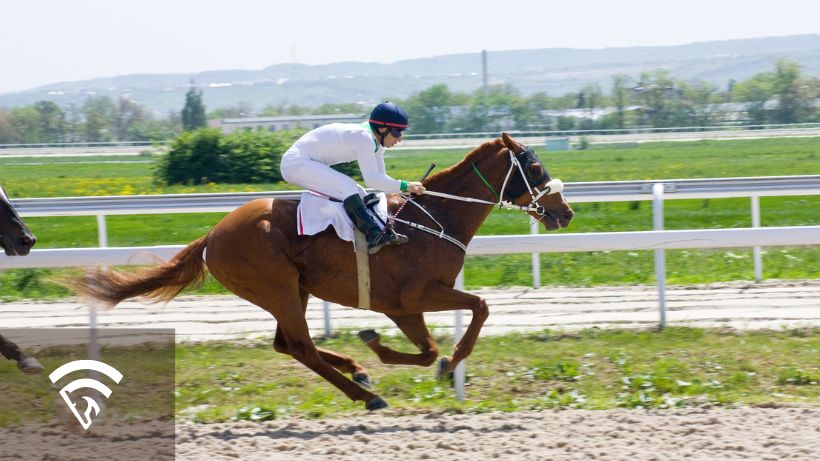 A racing horse and jockey 