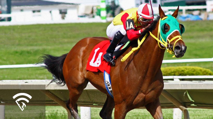 Horse racing at Travers Stakes