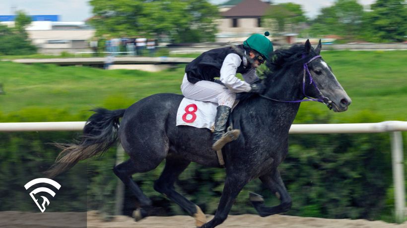 Horse racing representing a bad favorite