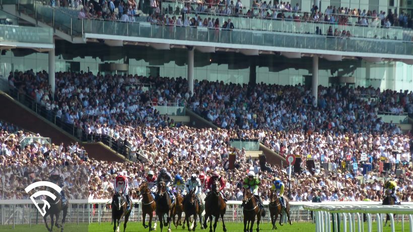 Crowd at a horse race representing a bet against the public