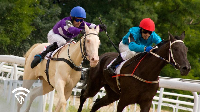 Horses racing against each other representing a contender in horse racing