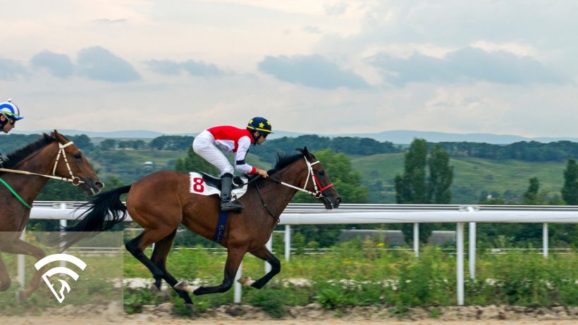 Profile shot of horses racing on a track