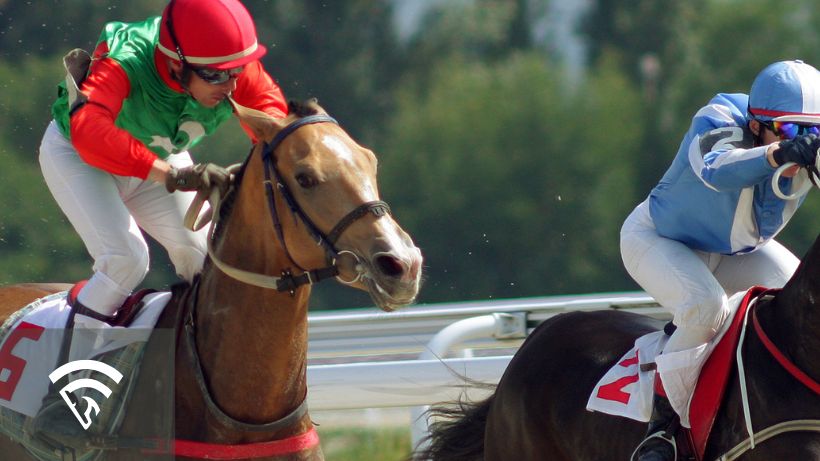 Horse racing that looks competitive but is not likely to win, representing a pretender in horse racing