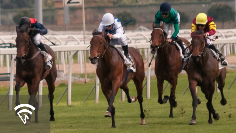 Horses racing representing the topic of race shape