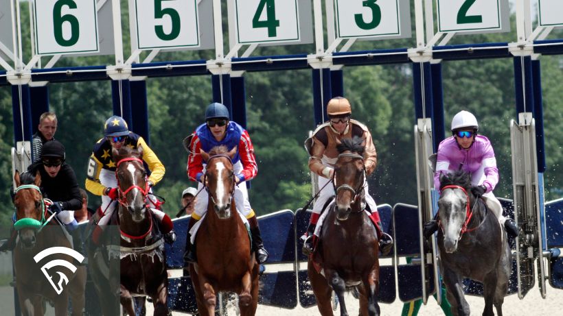 Horses racing after leaving the gate