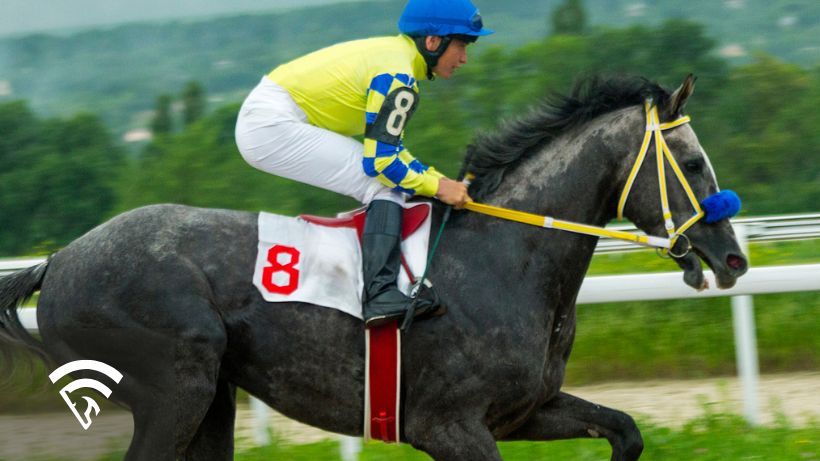 Horse racing representing a sharp work pattern