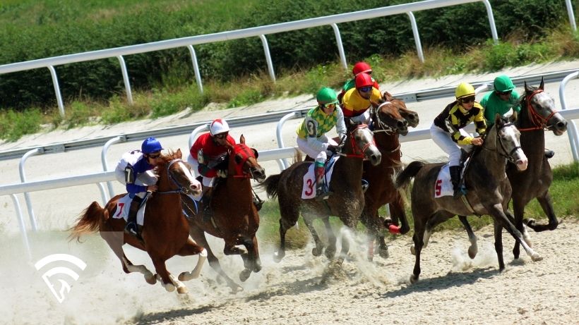 Horses racing representing the topic of what it means to upgrade or downgrade a horse in racing