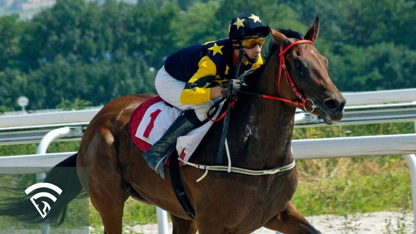 Horse racing representing a class drop