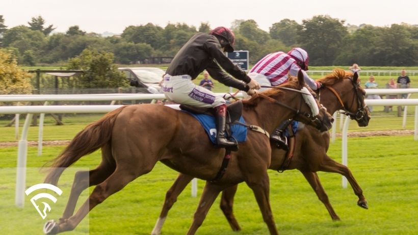 Horses racing representing the topic of a handicapping angle