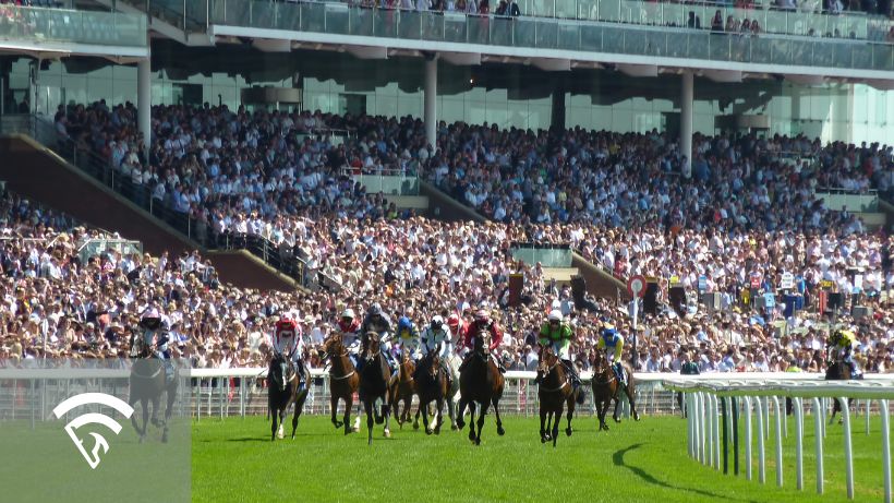 Horses racing on a turf track in a stadium