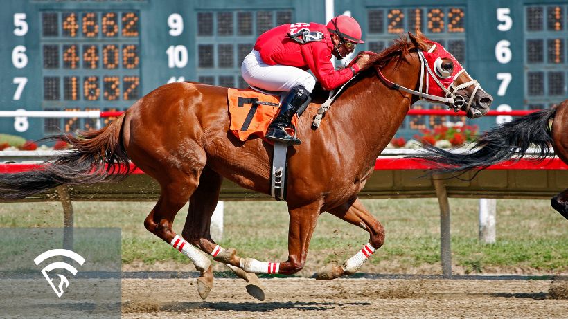 Jockey on a horse racing