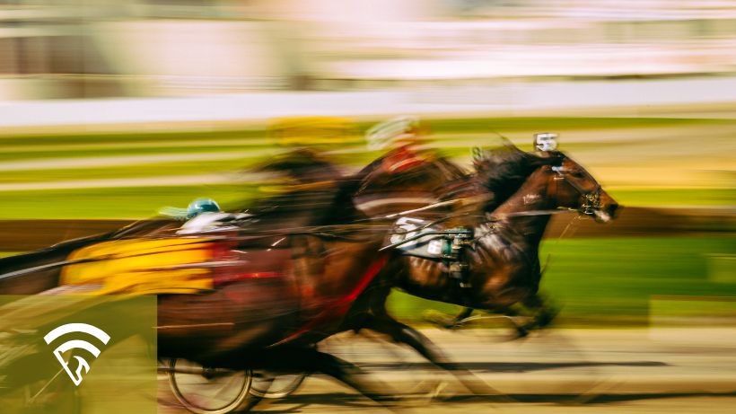 Horses running quickly as shown by a blurred image