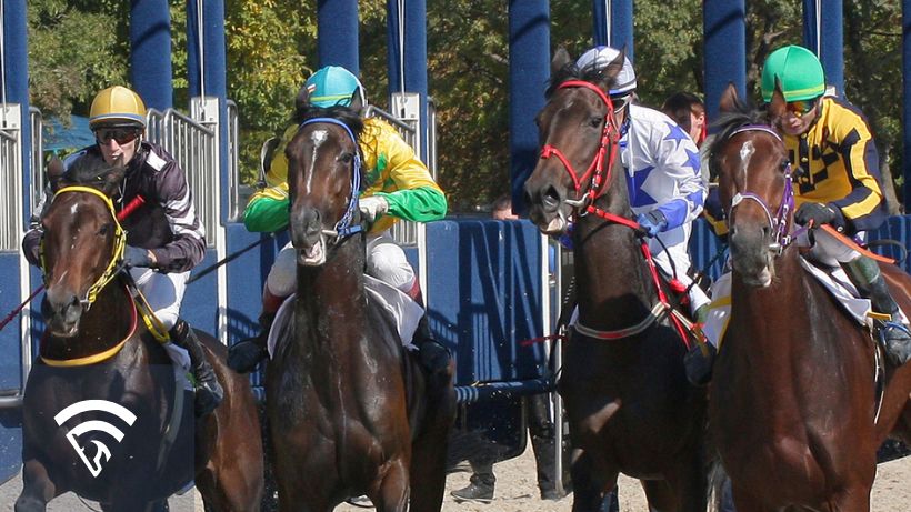 Horses racing representing class level movement