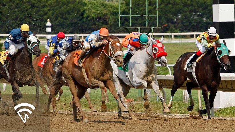 Horses racing representing the importance of race spacing