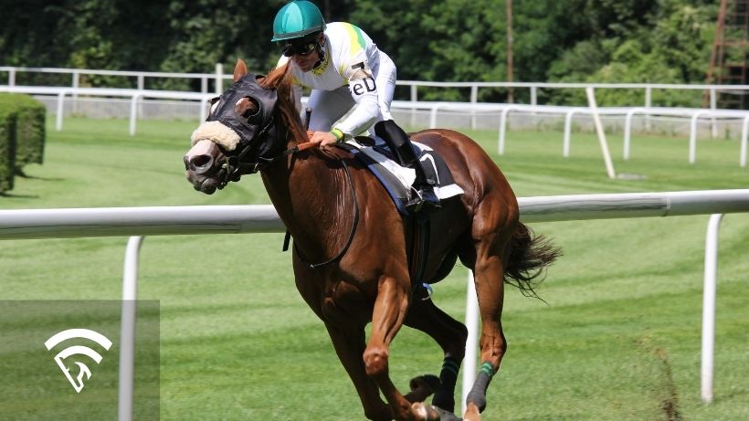 Jockey on a horse racing representing the topic of form signals