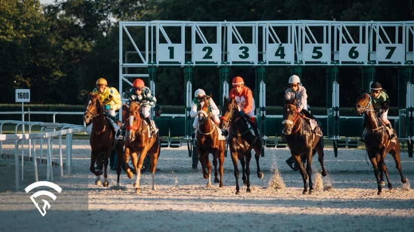 Horses racing representing the topic of a saver bet in multi-race wagers