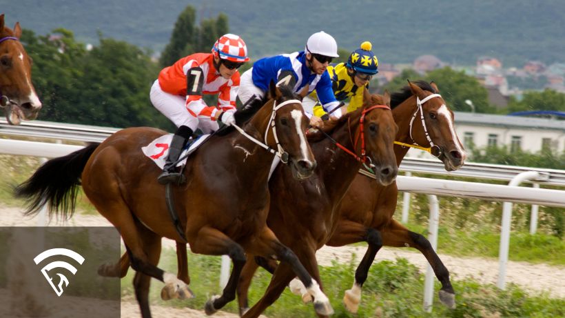 Three horses racing side-by-side