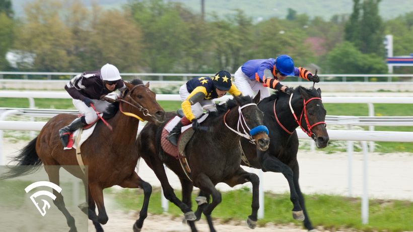 Three horses with jockeys racing