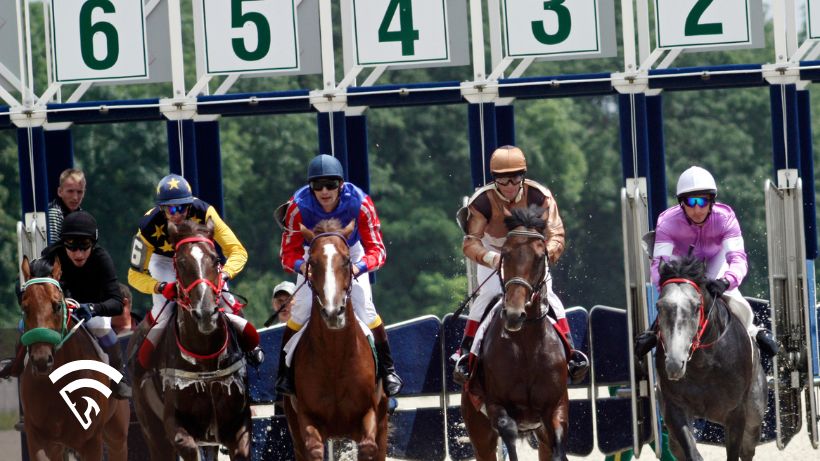 Horses racing near the starting gate