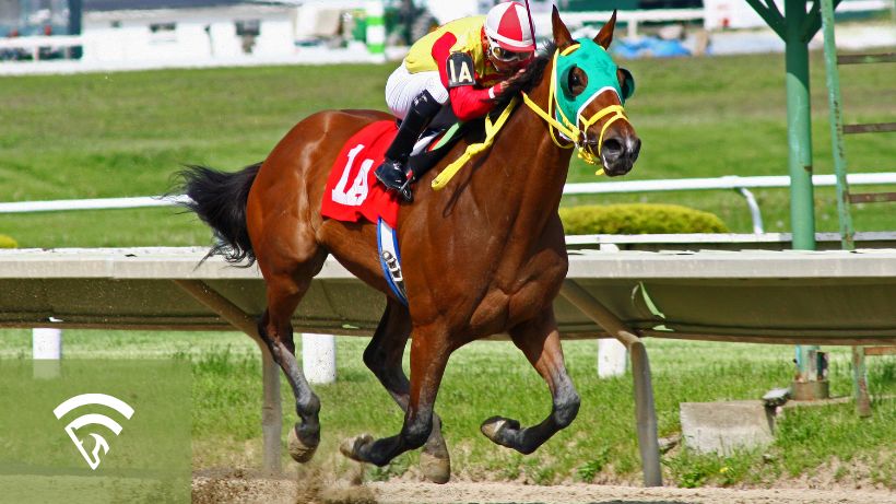 A horse and jockey racing