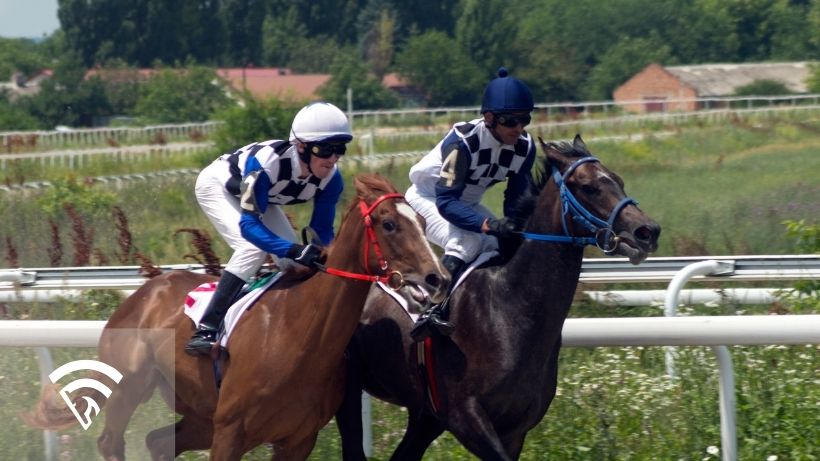 Horses and jockeys racing representing the topic of what to check before you trust win percentage in AI handicapping software