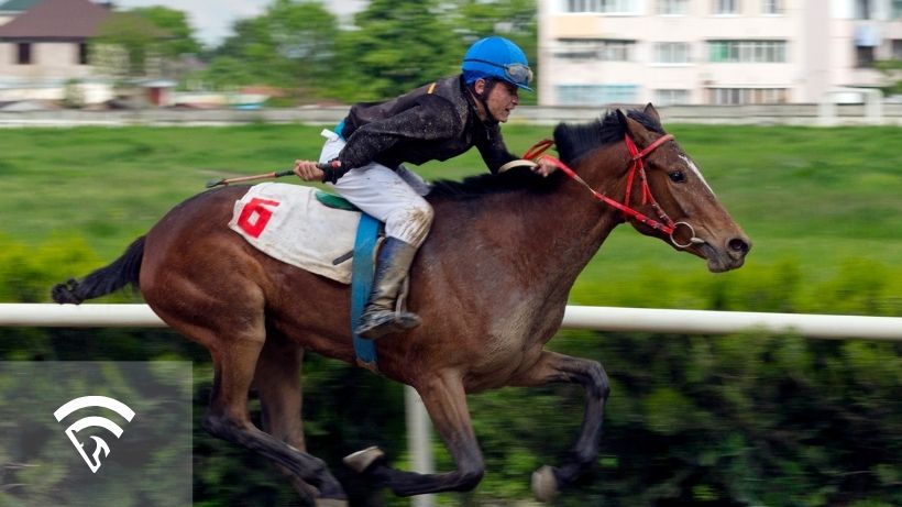 Horse racing representing the topic of what to look for when building pick 3, pick 4, and pick 5 tickets