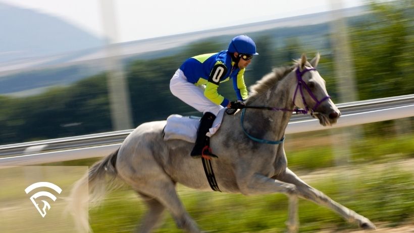 Horse racing representing the topic of using AI horse racing software to spot value bets