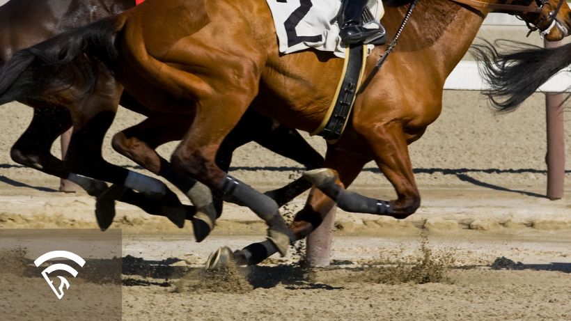Close up of horses racing representing first time lasix 