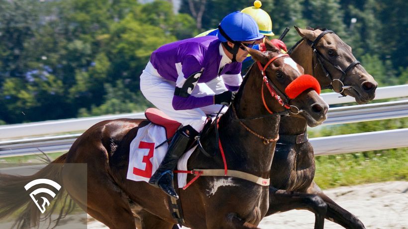 Horses racing representing form cycle analysis