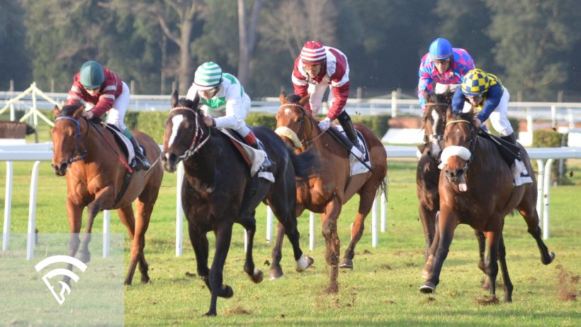 Horses racing representing handicapping with blinkers