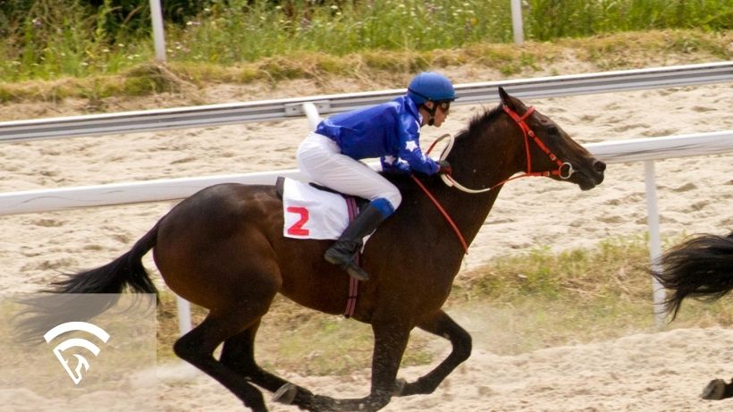 Horse racing representing the topic of handicapping tool features for bettors who use past performance data