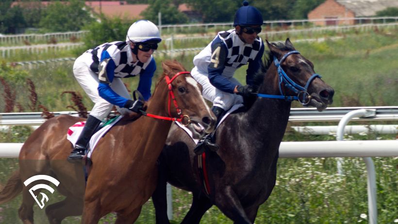 Horses racing representing a horseplayer notebook