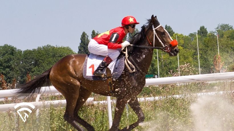 Horse racing representing the topic of a how handicapping software helps build multi-race tickets on a budget