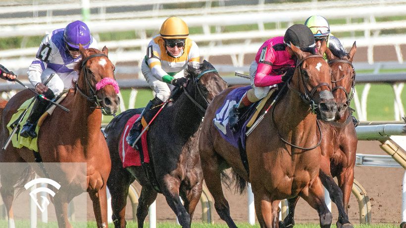 Horse race representing a pace map