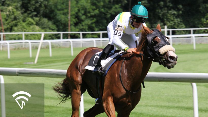 Horse racing representing ragozin numbers