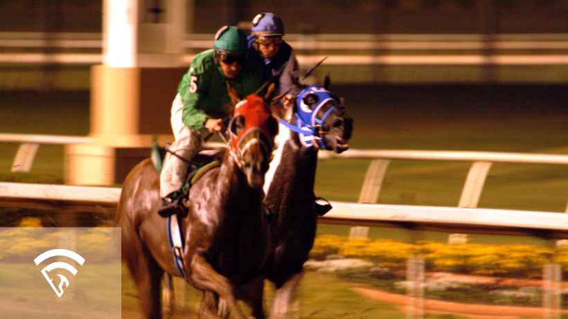 Replay angle in horse racing handicapping