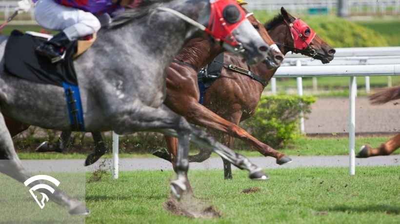 Close up photo of horses racing representing thoro-graph sheets