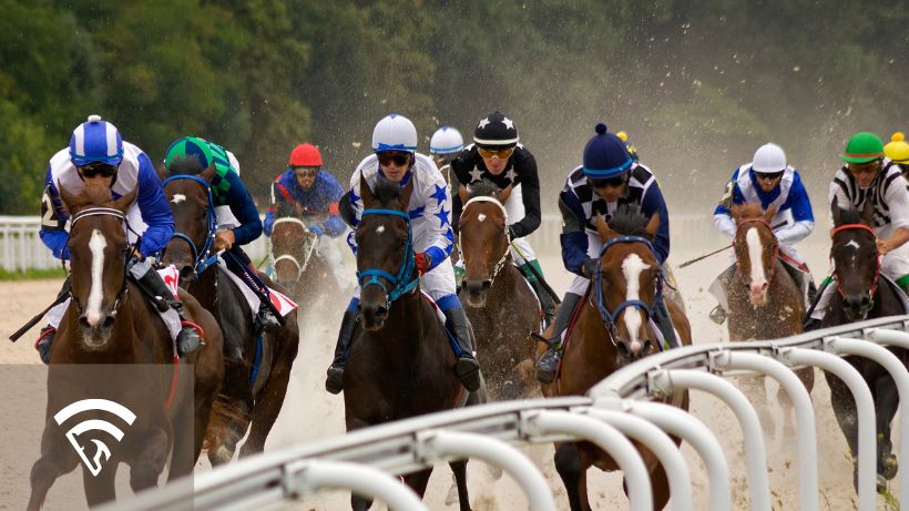 Horses racing representing timeform ratings